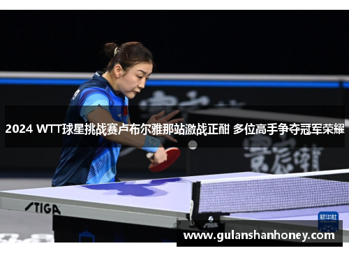 2024 WTT球星挑战赛卢布尔雅那站激战正酣 多位高手争夺冠军荣耀