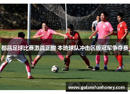 都昌足球比赛激战正酣 本地球队冲击区级冠军争夺赛