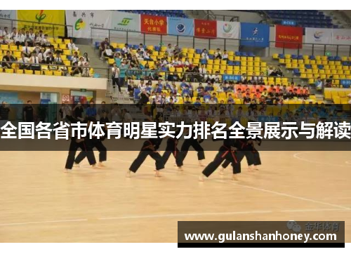全国各省市体育明星实力排名全景展示与解读