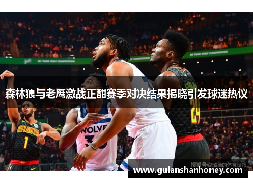 森林狼与老鹰激战正酣赛季对决结果揭晓引发球迷热议
