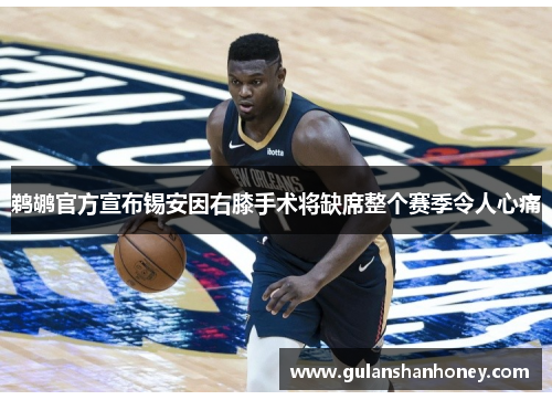 鹈鹕官方宣布锡安因右膝手术将缺席整个赛季令人心痛