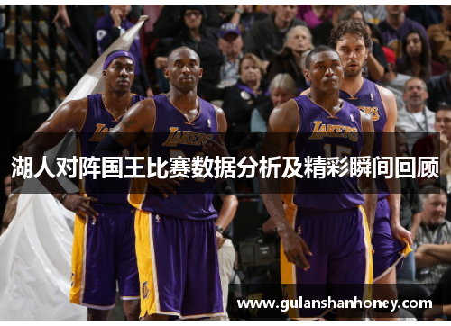 湖人对阵国王比赛数据分析及精彩瞬间回顾